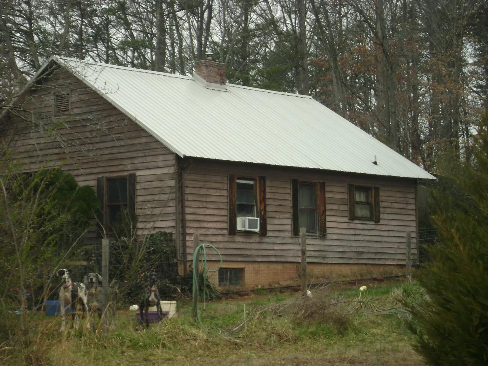 White metal roof on an old wood sided farmhouse, from a Asphalt Shingle Roof Repair job in Omega
